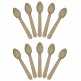 Wooden Disposable Spoon